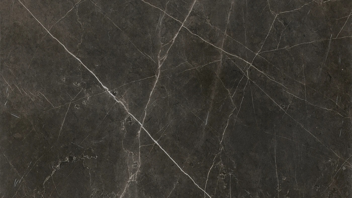Anima Futura Graphite